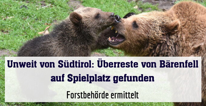 Forstbehörde ermittelt