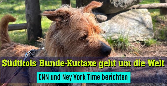 CNN und Ney York Time berichten