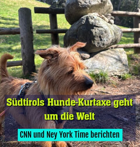 CNN und Ney York Time berichten